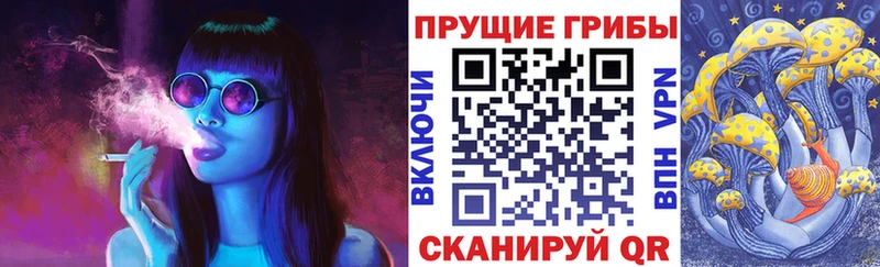 Галлюциногенные грибы Psilocybe  мега tor  Бологое 