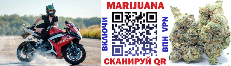 Конопля конопля  Бологое 